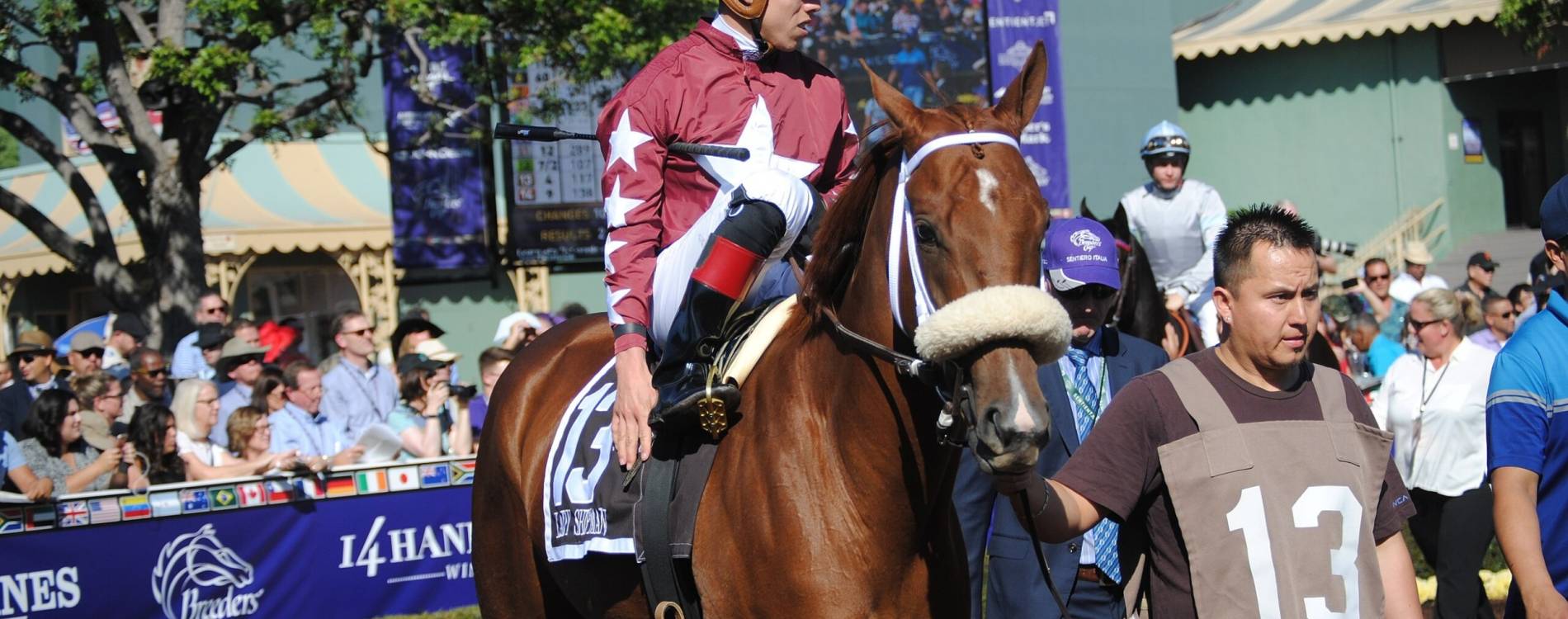 Ready for the Breeders Cup