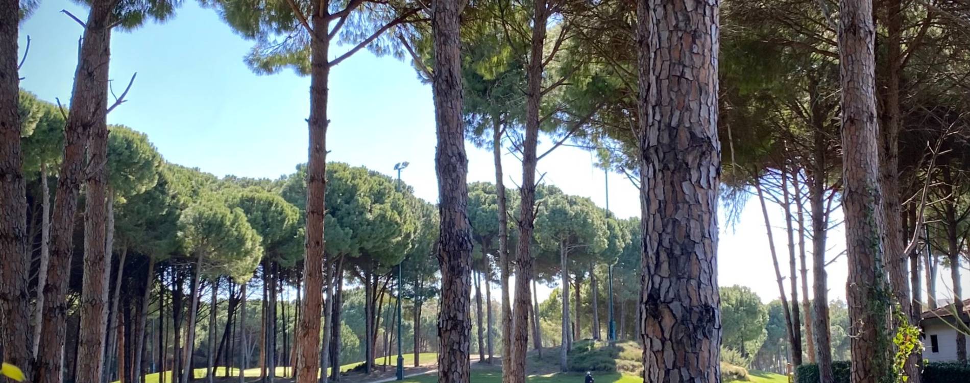 Regnum Carya Golf & Spa Resort
