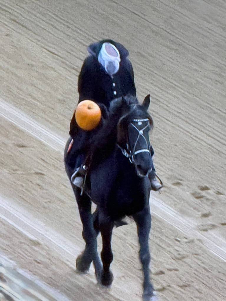 Review: A beautiful track and…