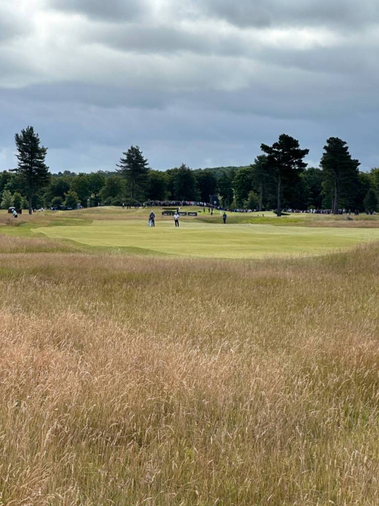 Review: Absolutely fantastic…