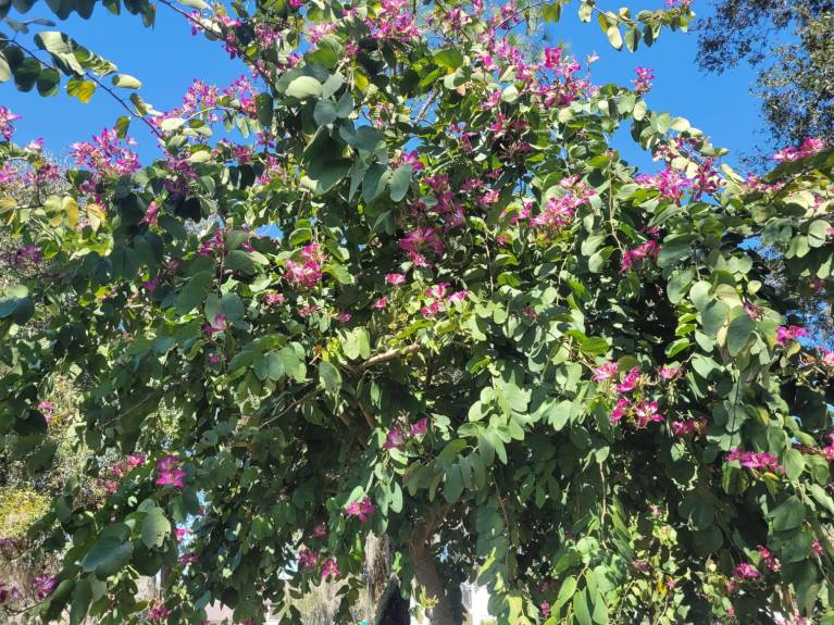 Review: Course, parking, shuttle,…