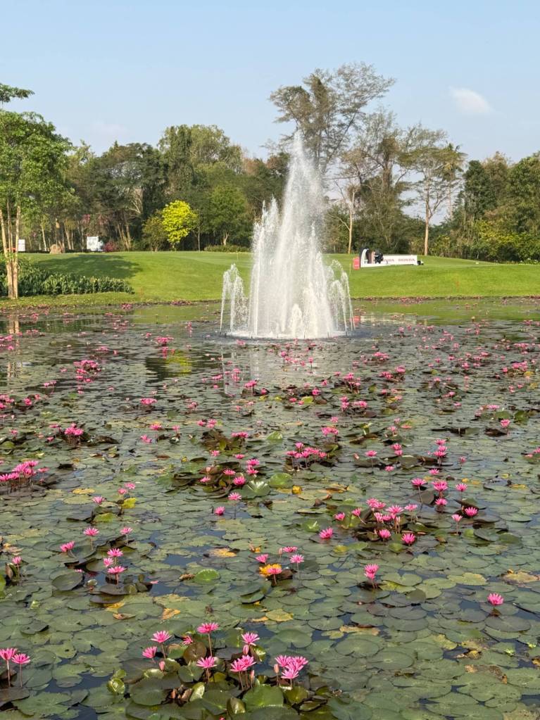 Review: I watched the tournament…