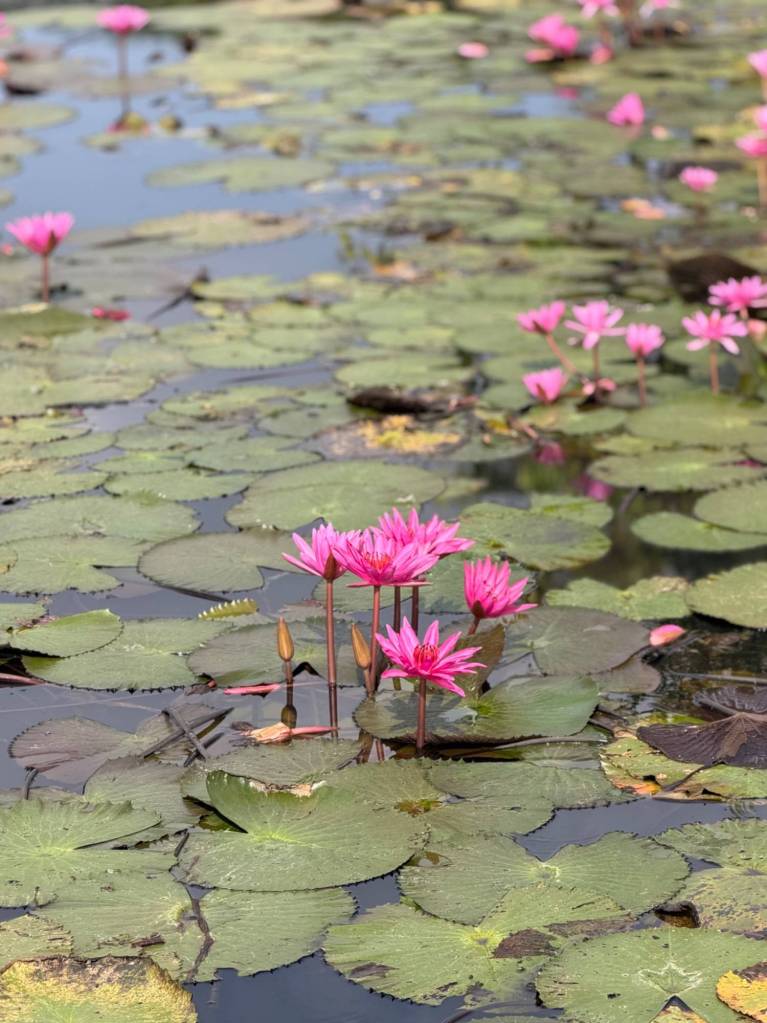 Review: I watched the tournament…