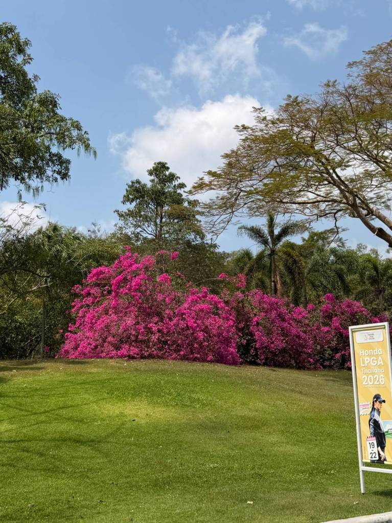 Review: I watched the tournament…