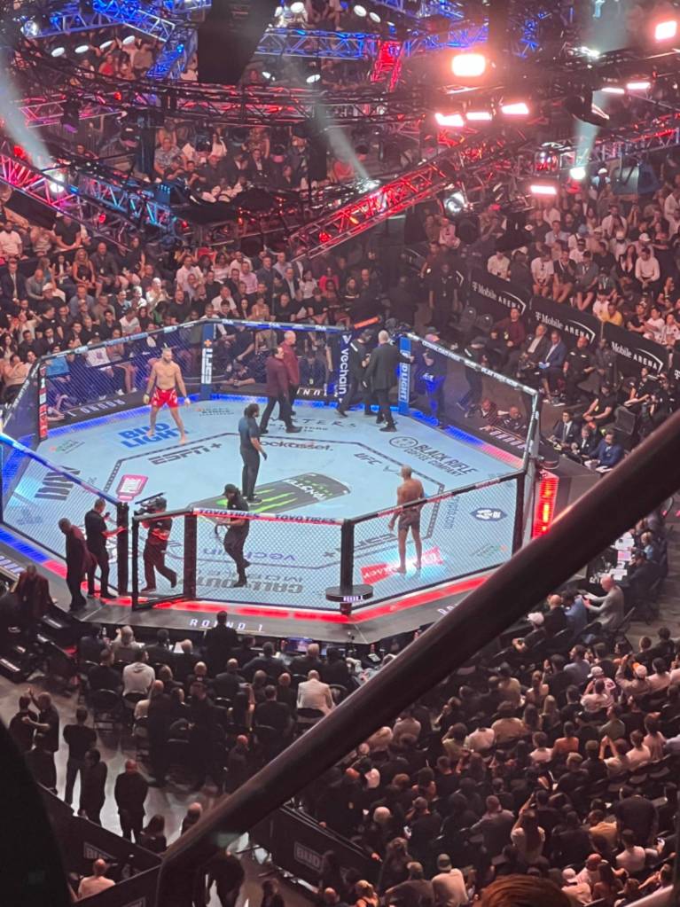 UFC Tickets Fights 2025/2025 verloop.io