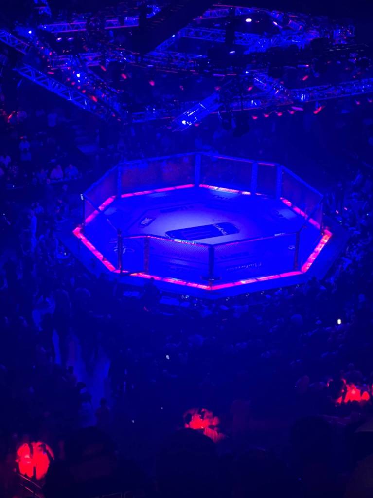 Review: UFC 303 was a BLAST!…