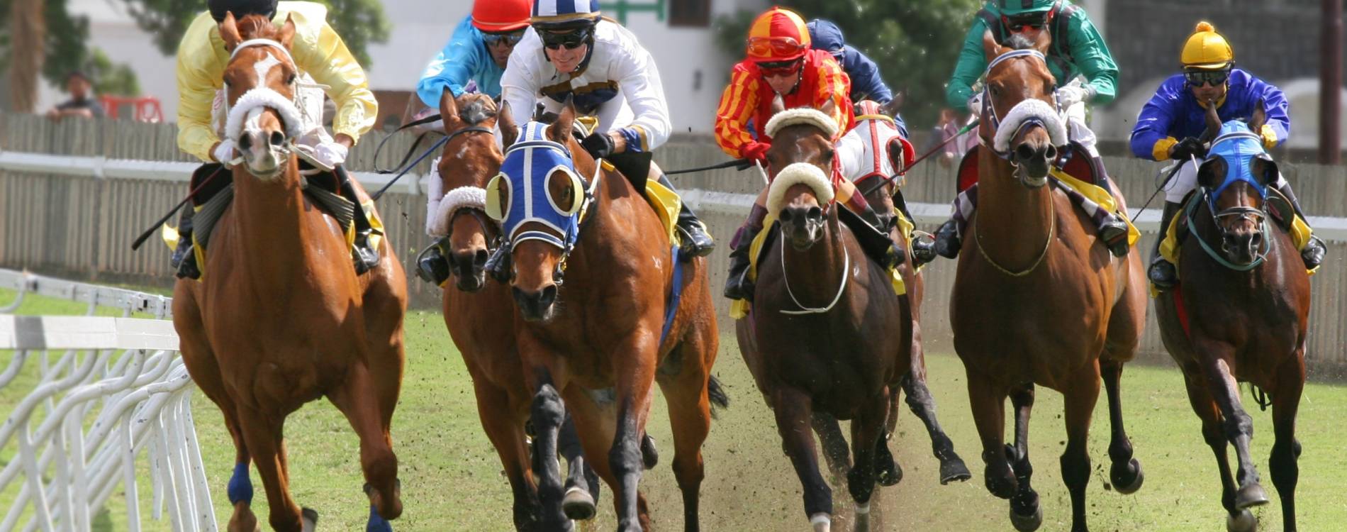 Riders jostle for the racing line