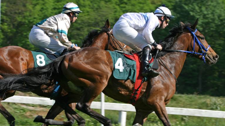 Go Racing in Yorkshire Festival