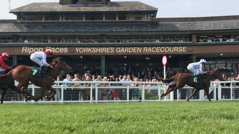Go Racing in Yorkshire Festival