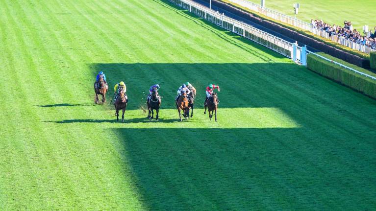 Rosehill Gardens Raceday