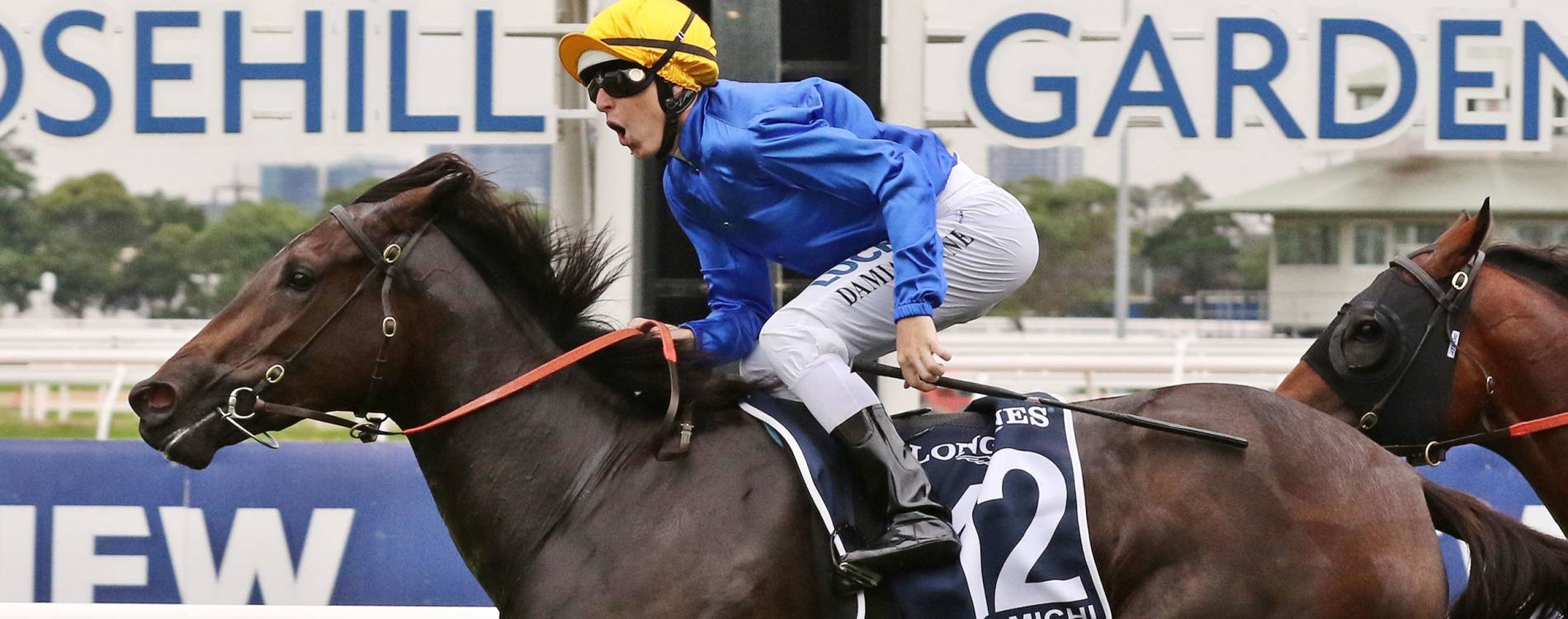 Rosehill Gardens racing