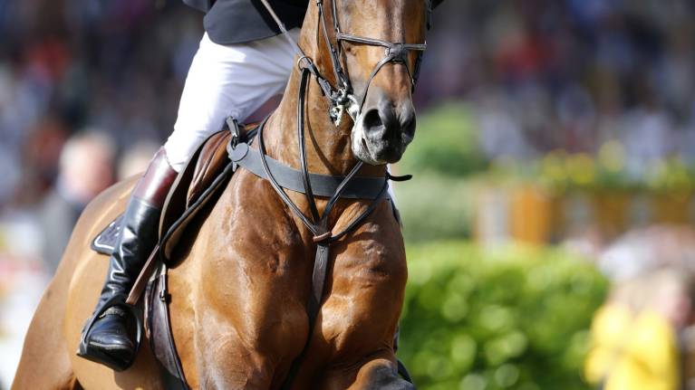 Agria Royal International Horse Show
