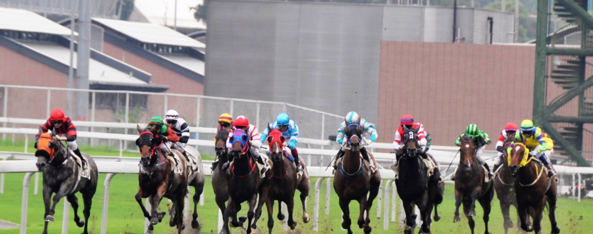 Royal Randwick (Kensington) Midweek Raceday