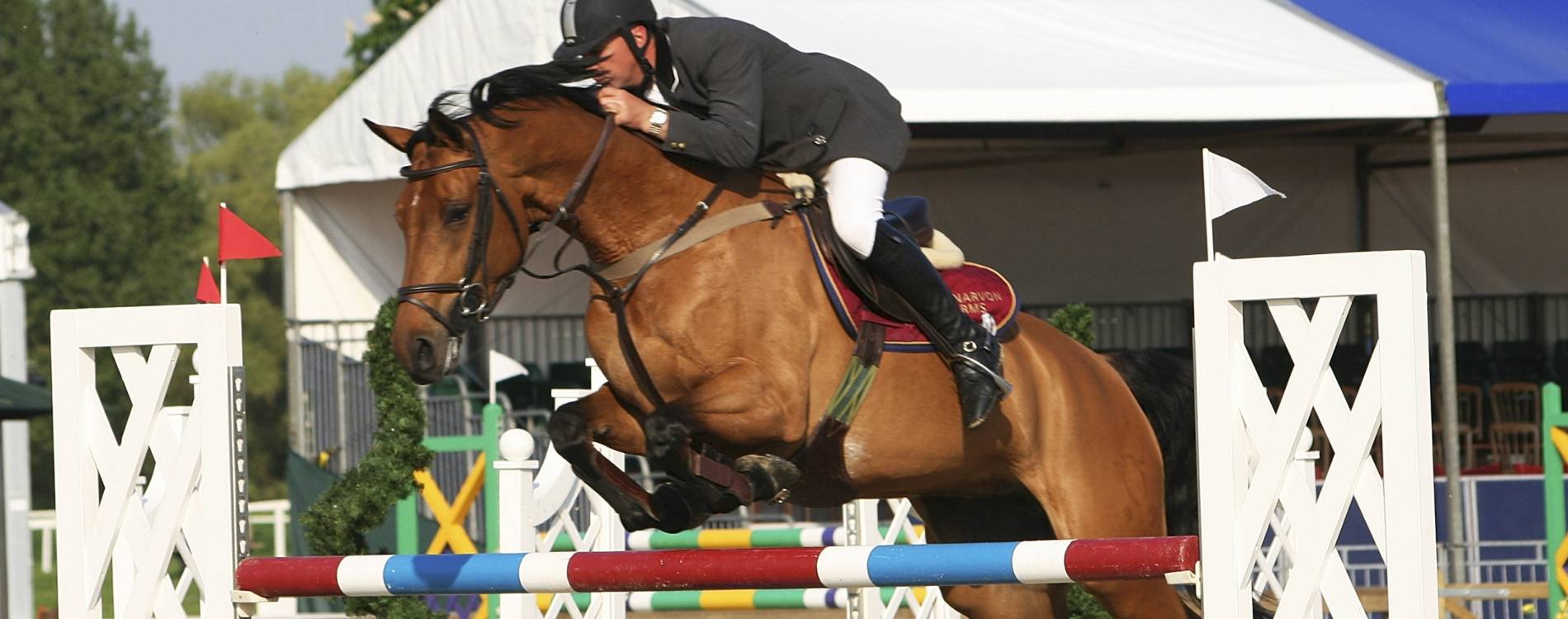 Royal Windsor Horse Show