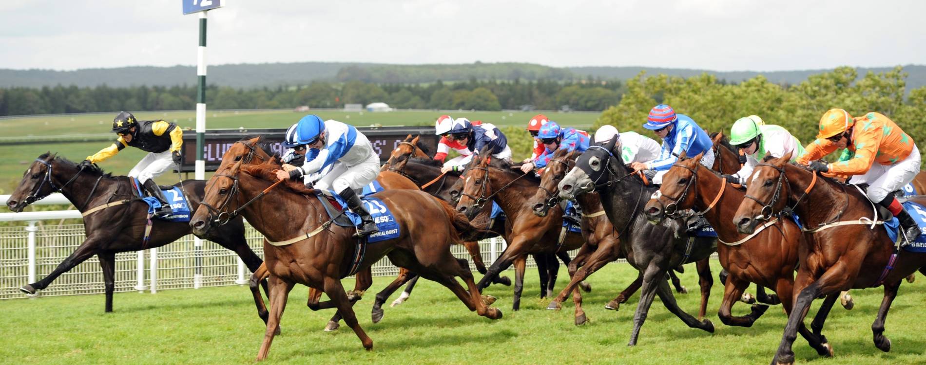 Runners take on the final furlong