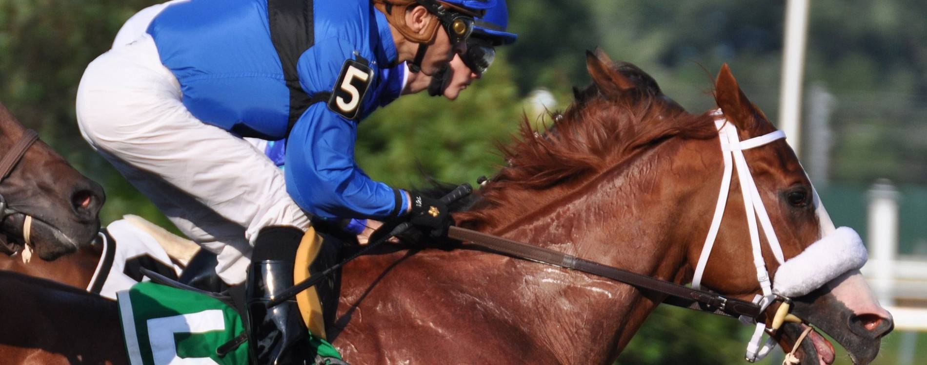 Running at Monmouth Park