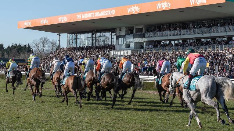 New Year's Eve Raceday