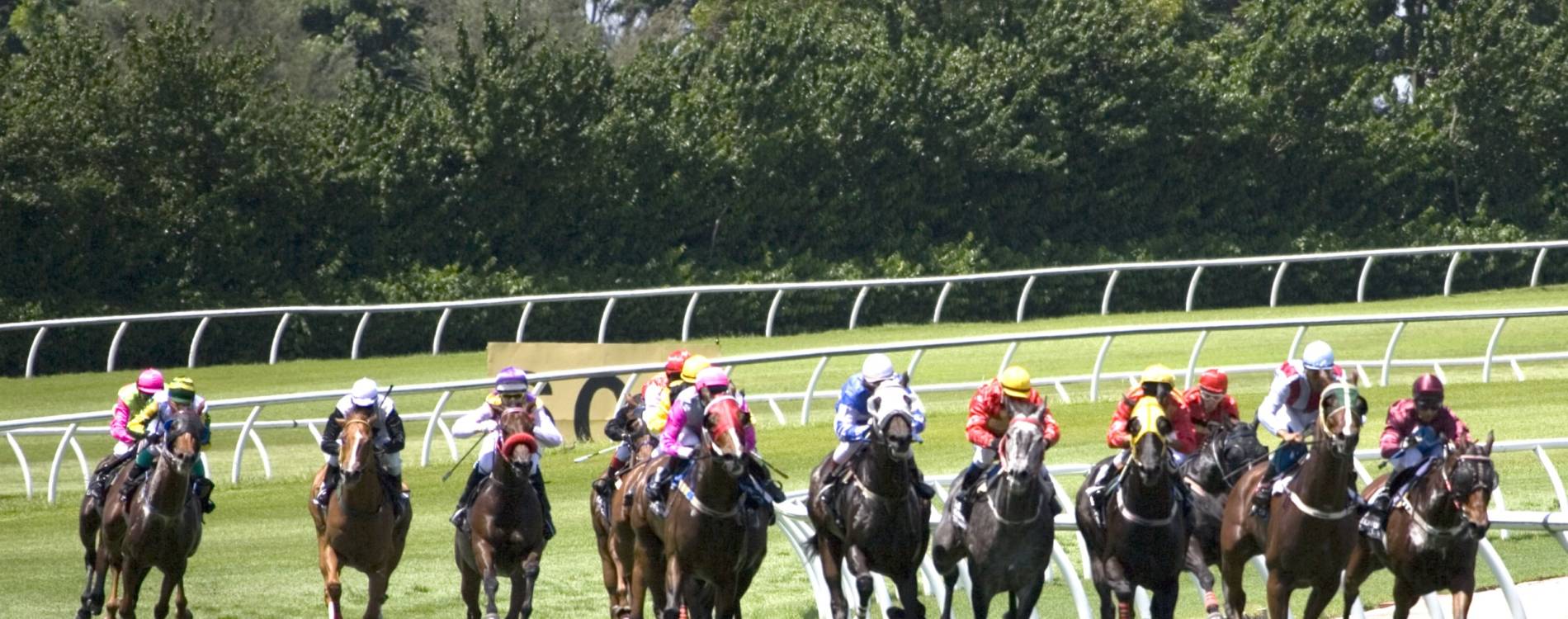 Safari Family Fun Raceday August Bank Holiday