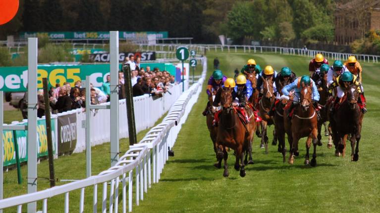 Betfair Tingle Creek Festival