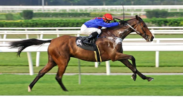 September Jump Racing