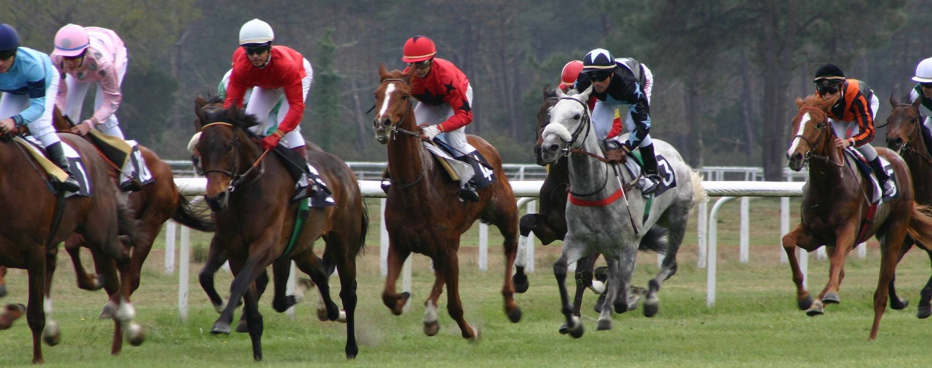 September Jumps Racing