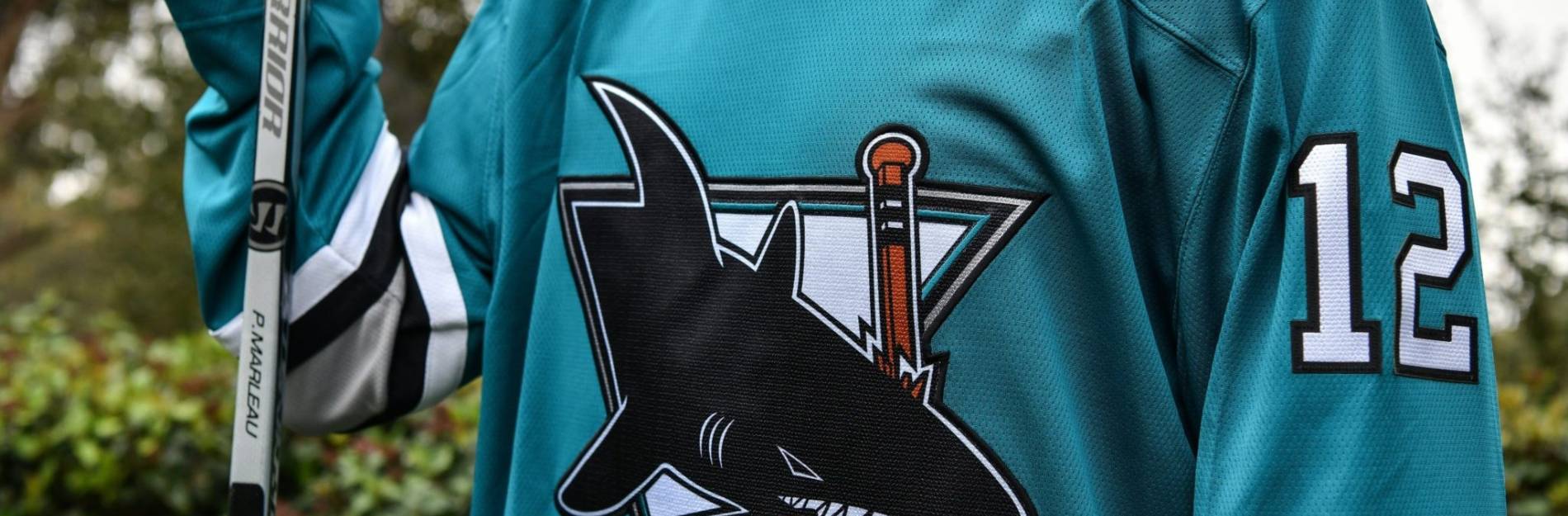 Sharks Gear & Collectibles