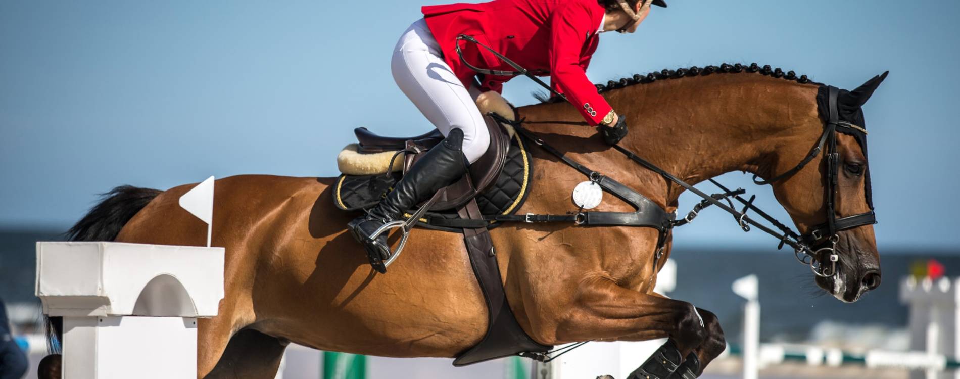 Show jumping
