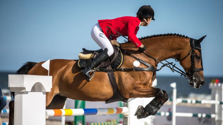 FEI World Championships