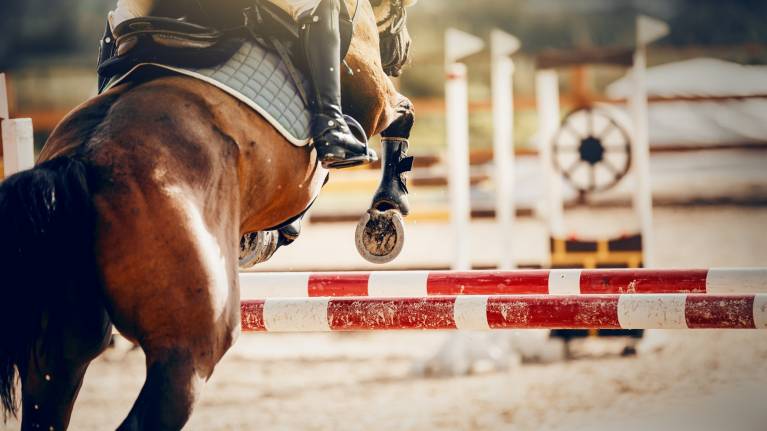 Helsinki International Horse Show