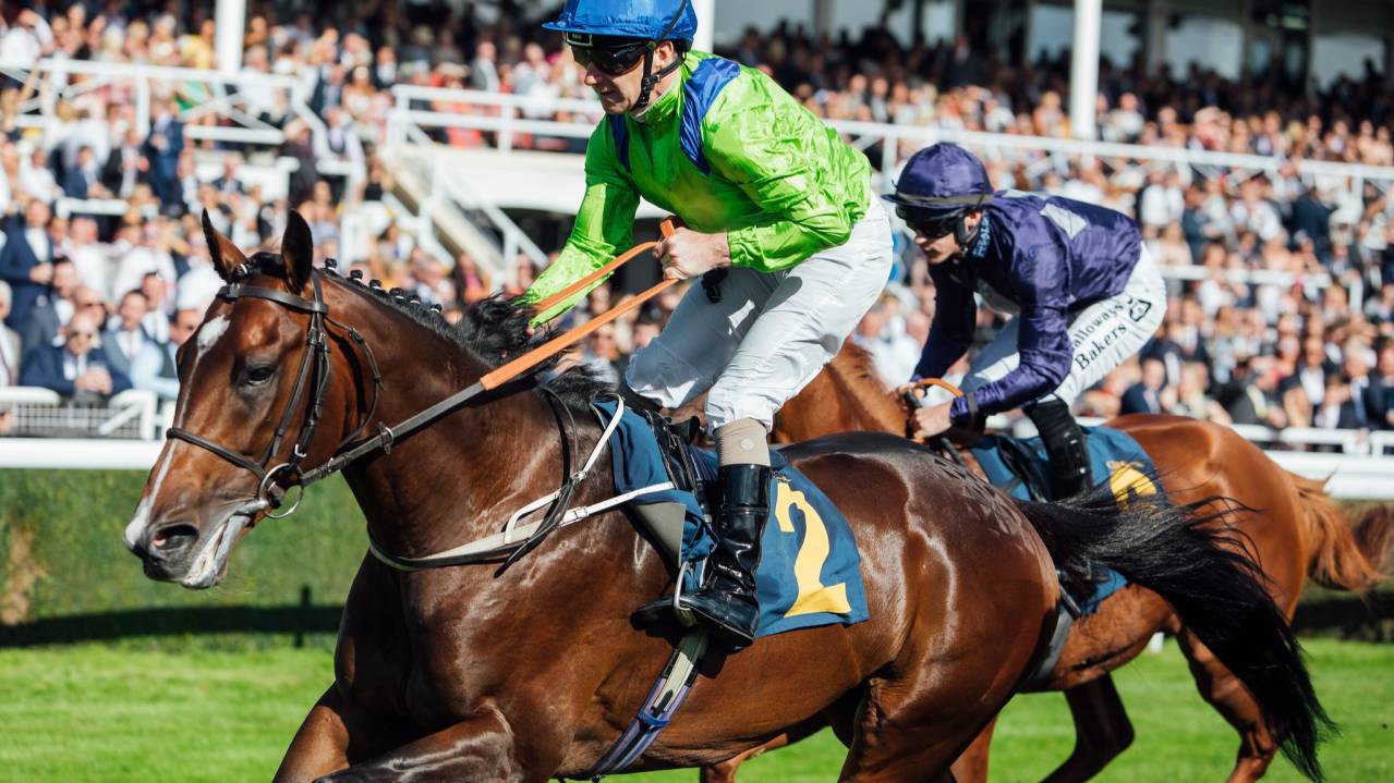Silks Trackside views