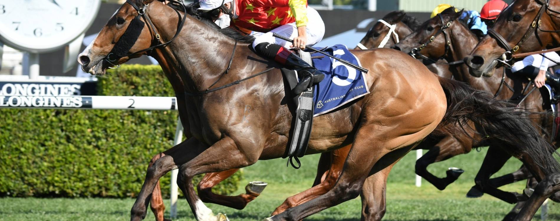 Silver Eagle Day Tickets Oct 2025* Rosehill Gardens Racecourse Koobit