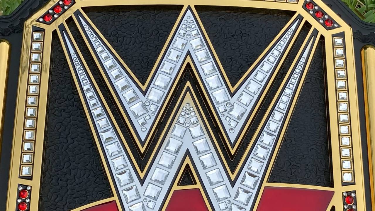 Silver Fan Experience