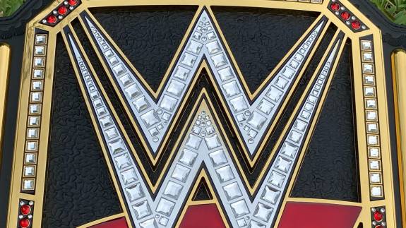 Silver Fan Experience