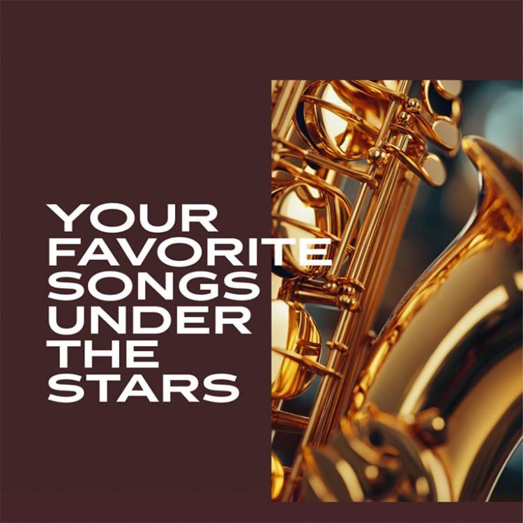 Sinatra Under The Stars at Sunset Terrace