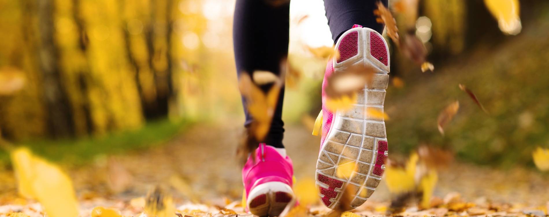 Some fantastic sporting events are taking place this autumn.