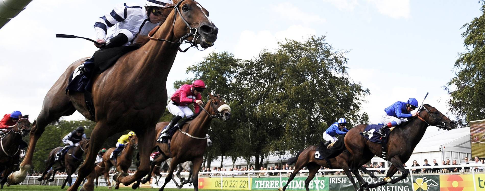Spectators cheer on the riders