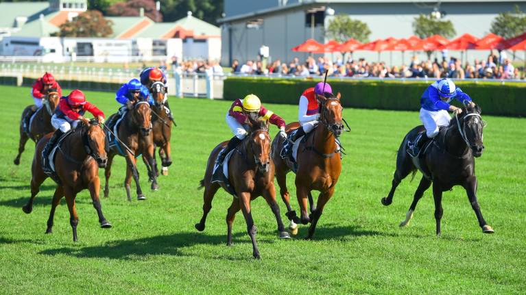 Sporting Chance Cancer Foundation Raceday