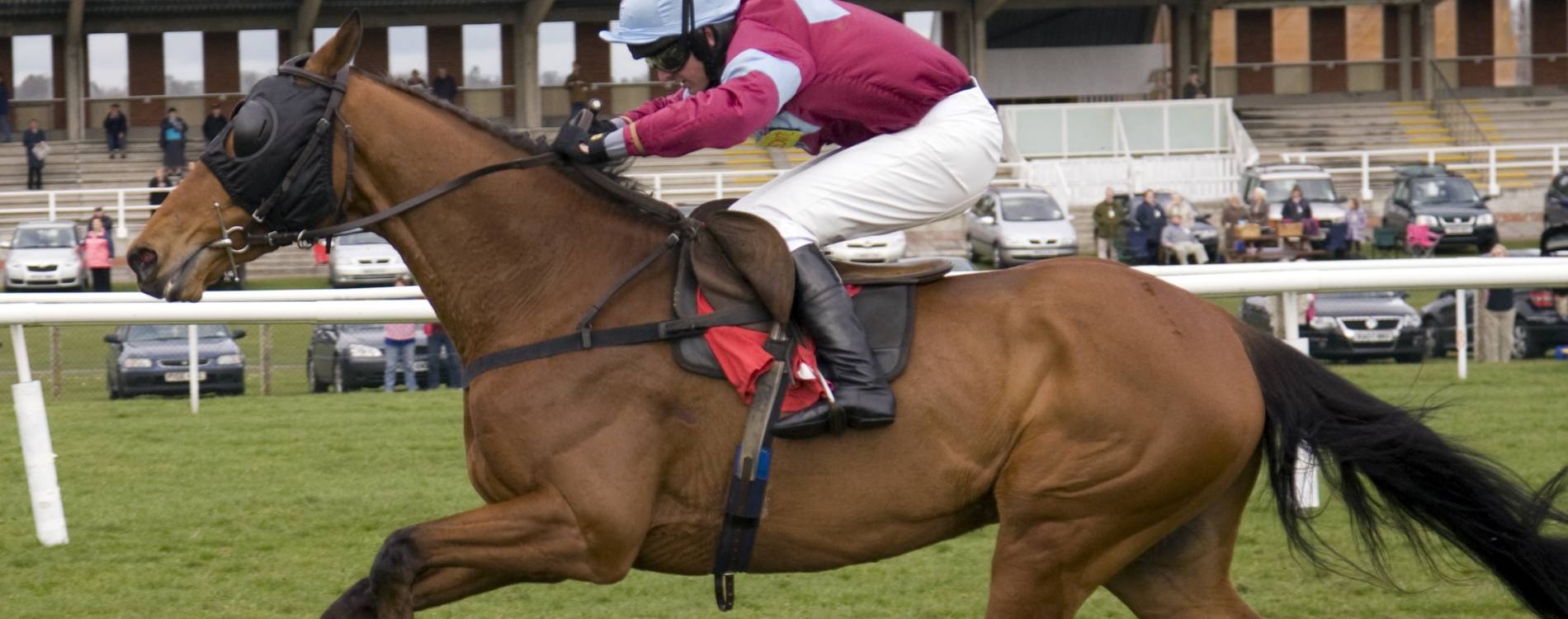 Sprinting at Newbury