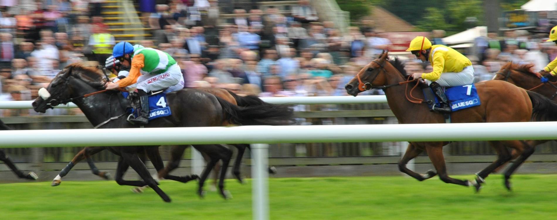 Sprinting at Newmarket