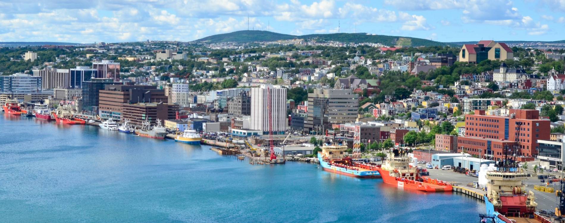 St. John's skyline