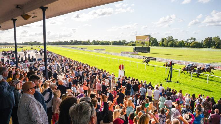 Stands at Windsor