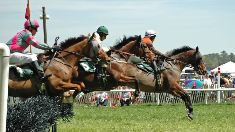 The Start of the Jumps Raceday