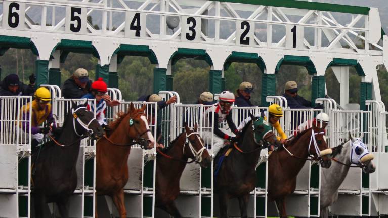 Eddie Logan Stakes Day