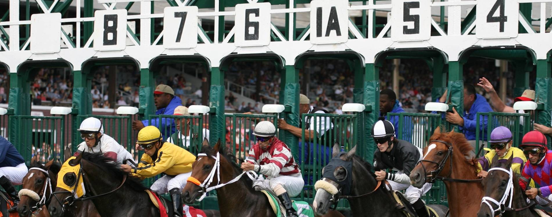 Saratoga Travers Stakes 2024 Bert Teodora