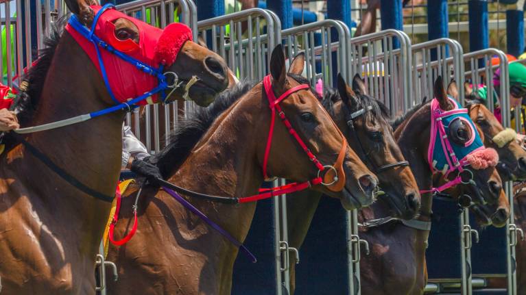 The Big Dance on Cup Day
