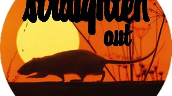 Straighten Out - The Stranglers Tribute