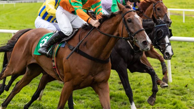 Whitsbury Manor Stud Bibury Cup Day