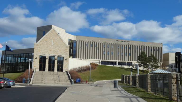 Savage Arena