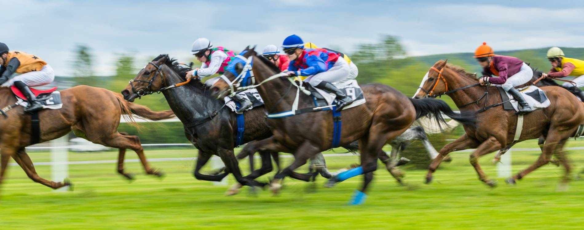 Summer Afternoon Racing