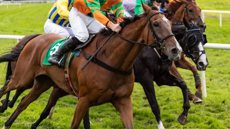 Summer Evening Racing